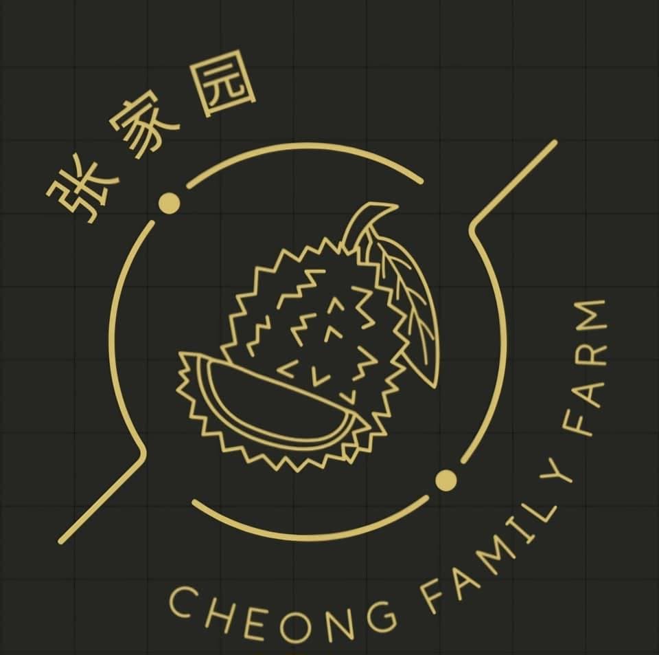 Business Landing Pages and Websites